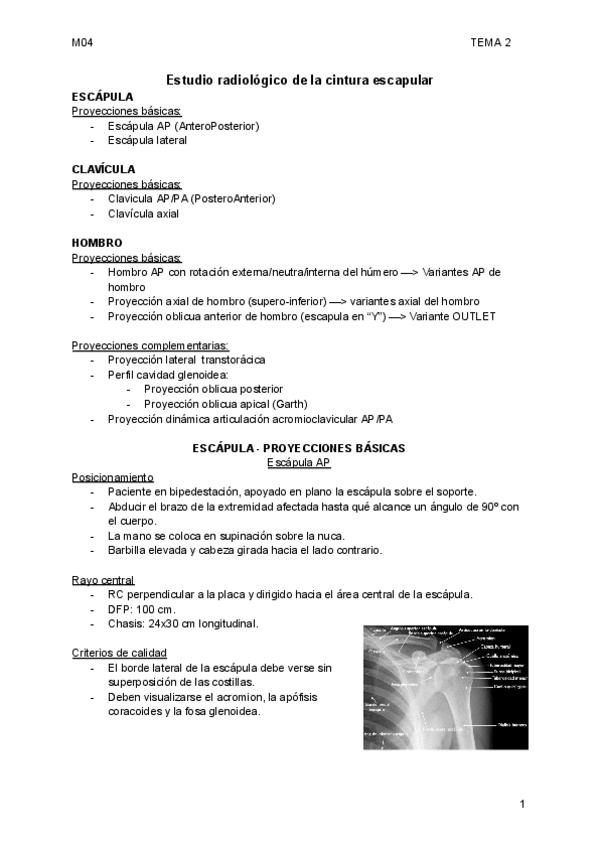 Miniatura del documento Cintura escapular en RX simple.pdf