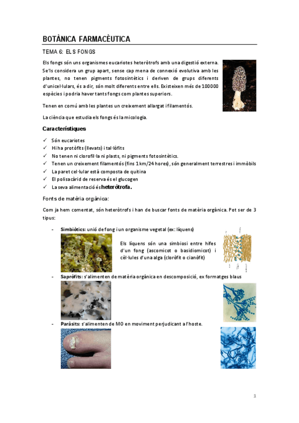 Miniatura del documento fongs.pdf