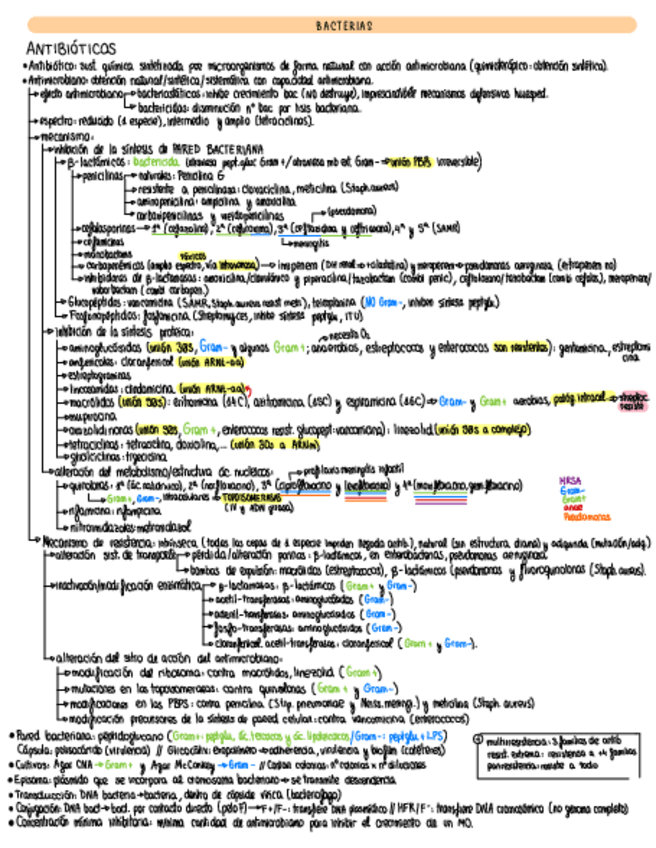 Miniatura del documento dibujos-bacterias.pdf