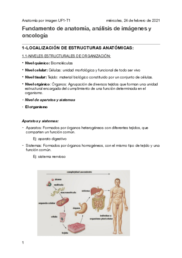Miniatura del documento Fundamento-de-anatomia-analisis-de-imagenes-y-oncologia.pdf