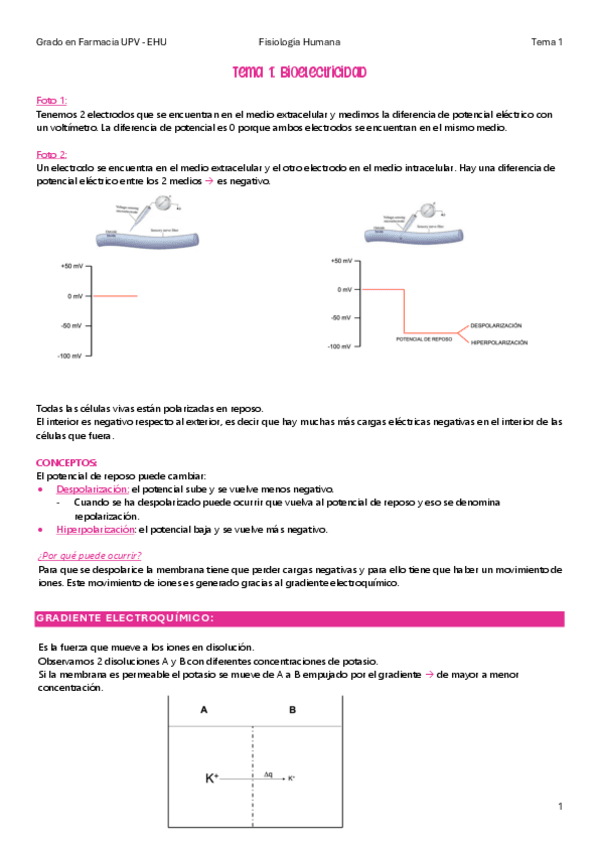 Miniatura del documento Fisiologia-Tema-1.pdf