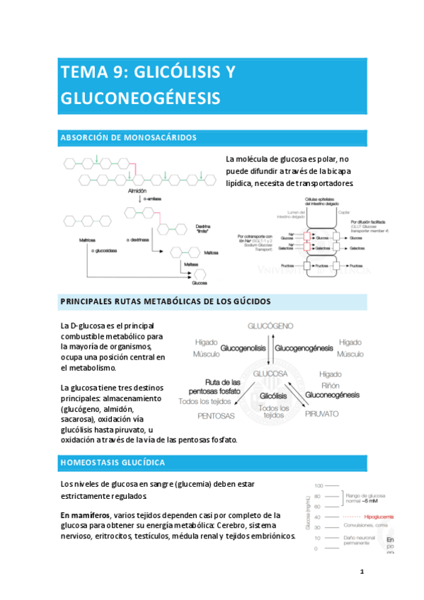 Miniatura del documento TEMA-9.pdf