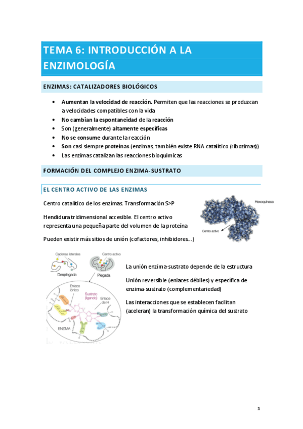 Miniatura del documento TEMA-6.pdf