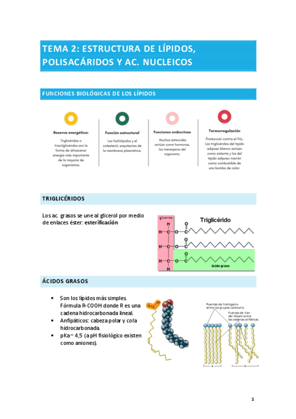 Miniatura del documento TEMA-2.pdf