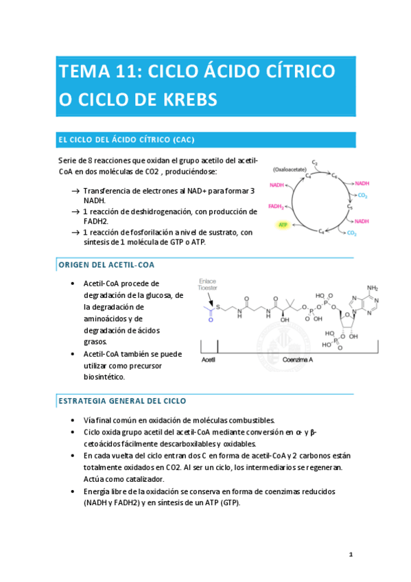 Miniatura del documento TEMA-11.pdf