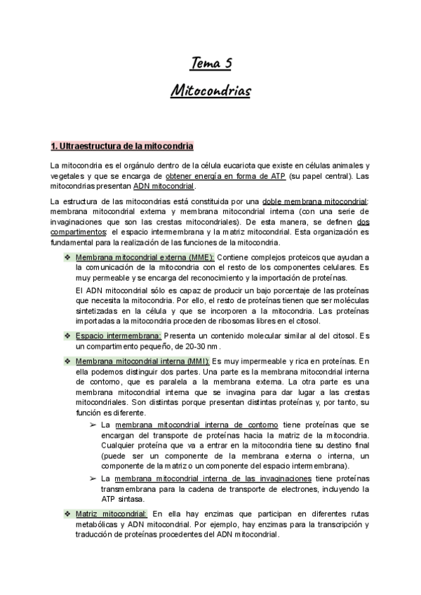 Miniatura del documento Apuntes-BioCel-I-Tema-5-Mitocondrias.pdf