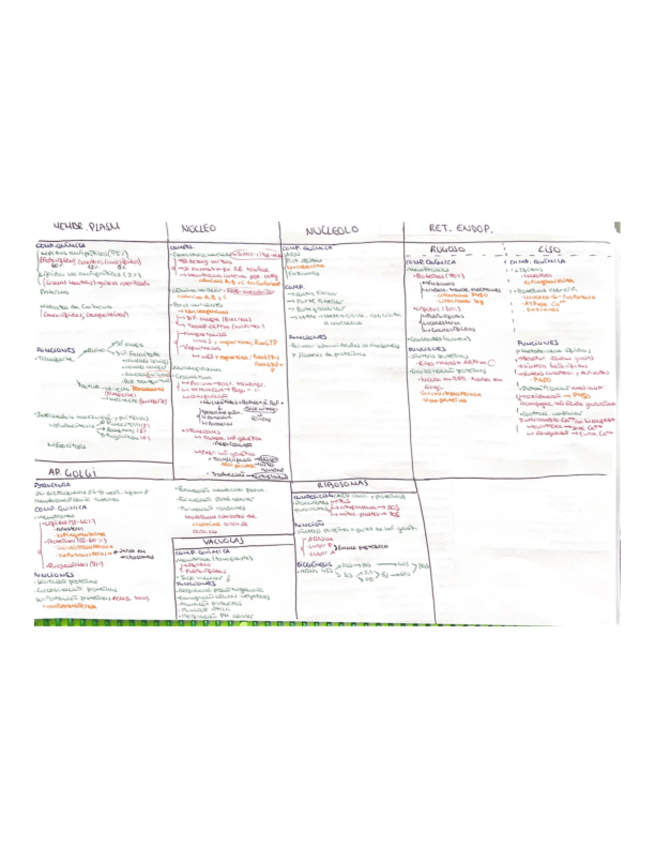Miniatura del documento Diferencias-y-caracteristicas-estructuras.pdf