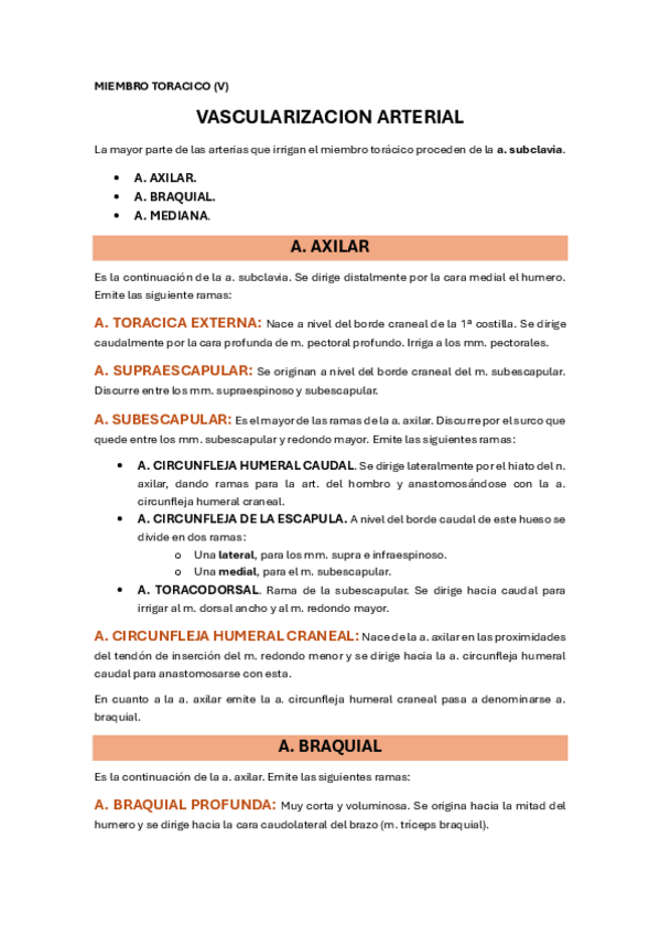 Miniatura del documento 17.-MIEMBRO-TORACICO-V.pdf