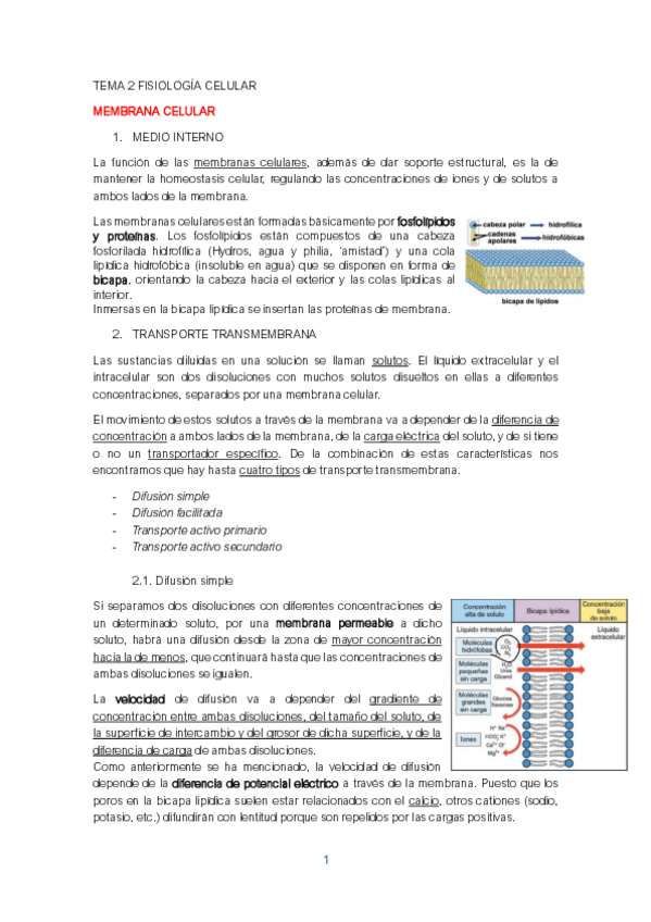 Miniatura del documento Tema-2.-Fisiologia-celularCyTA.pdf