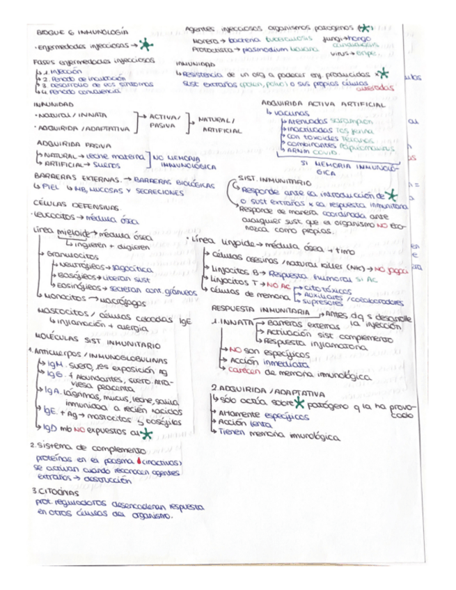 Miniatura del documento Inmunologia-esquemas.pdf