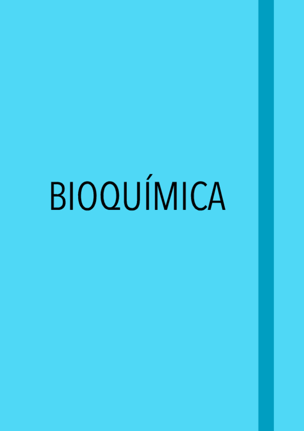 Miniatura del documento Bioquimica-temes-o-i-1.pdf
