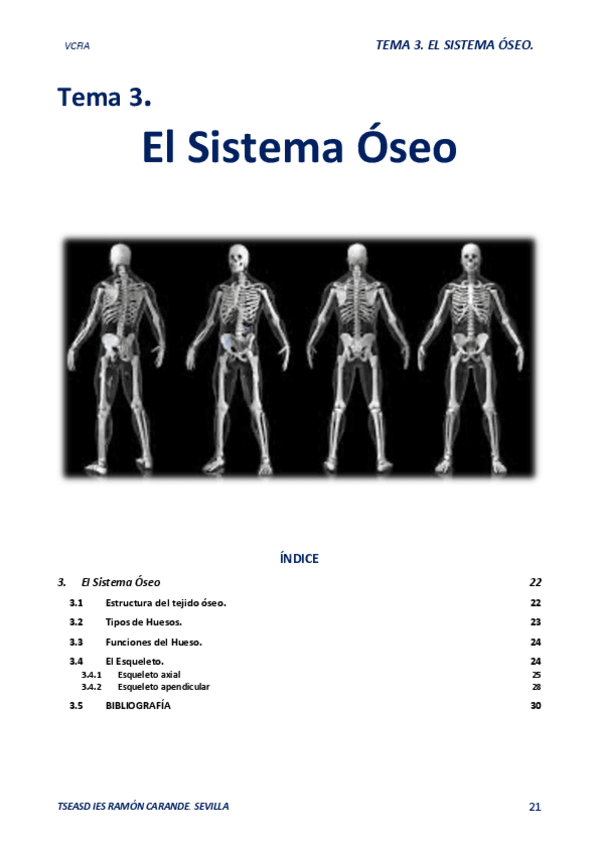 Miniatura del documento 03-EL-SISTEMA-OSEO.-24.25.Apuntes.pdf