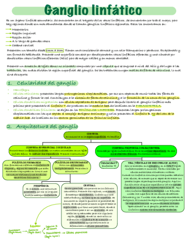 Miniatura del documento Ganglio-linfatico.pdf
