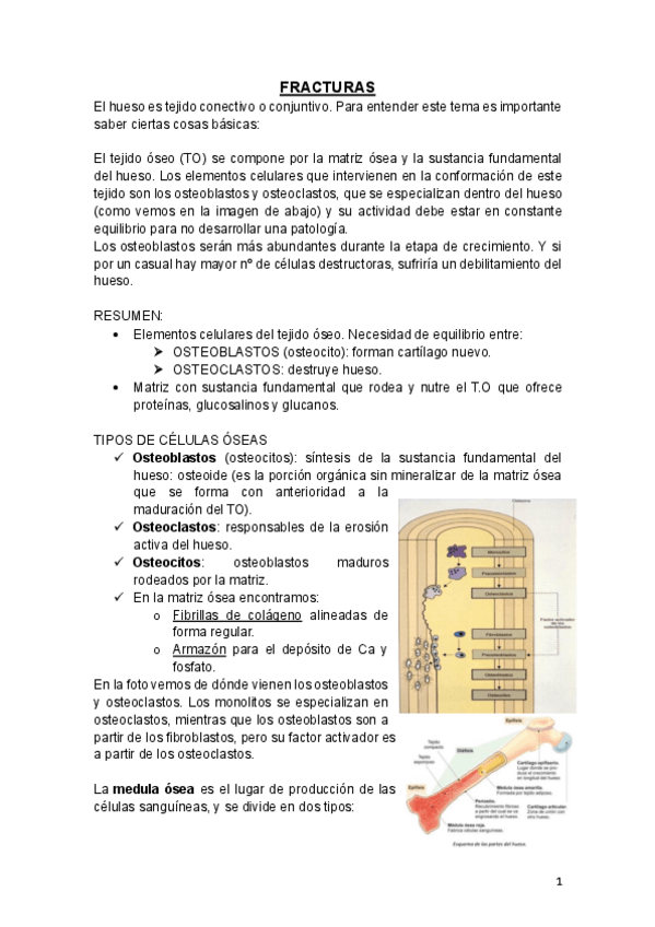 Miniatura del documento TEMA-FRACTURAS-Ana-de-Maya.pdf