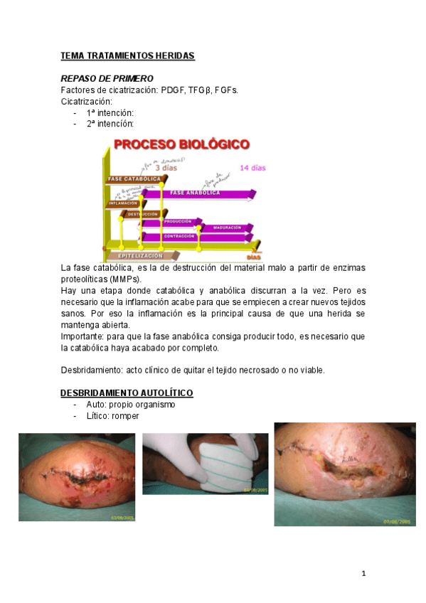 Miniatura del documento tema-tratamiento-heridas-IVAN.pdf