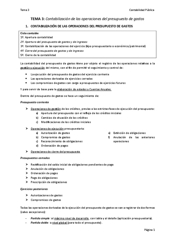Miniatura del documento Tema-3-Contabilidad-Publica.pdf