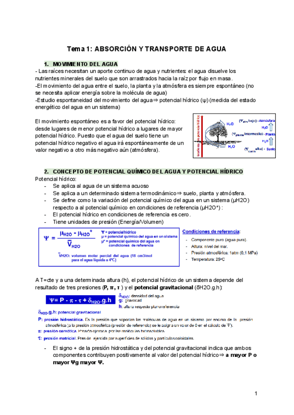 Miniatura del documento Vegetal-Temas-1-5-y-7.pdf