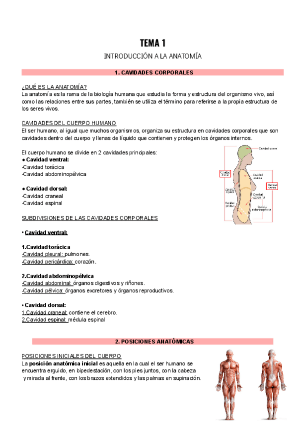 Miniatura del documento TEMA-1-NECROPSIAS.pdf