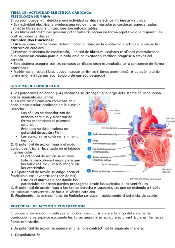 Miniatura del documento TEMA-15-FISIO.pdf