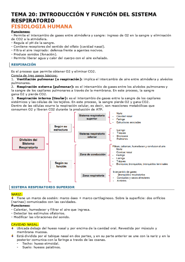 Miniatura del documento TEMA-20-FISIO.pdf