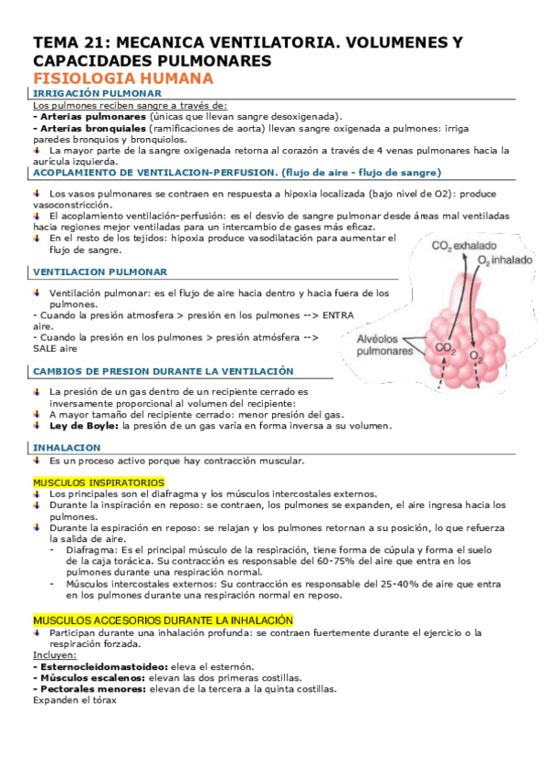Miniatura del documento TEMA-21-FISIO.pdf