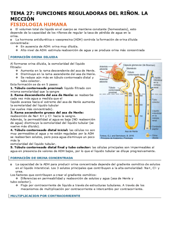 Miniatura del documento TEMA-27-FISIO.pdf