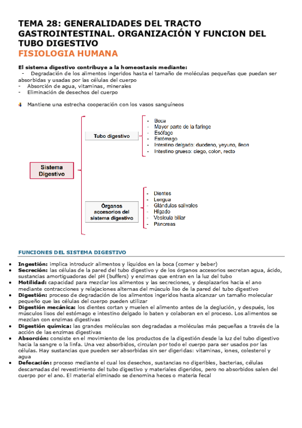 Miniatura del documento TEMA-28-FISIO.pdf