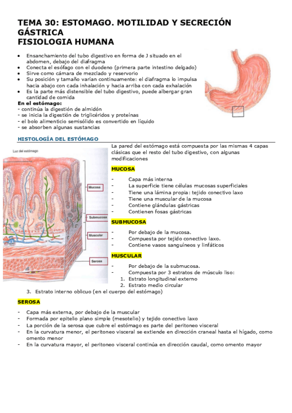 Miniatura del documento TEMA-30-FISIO.pdf