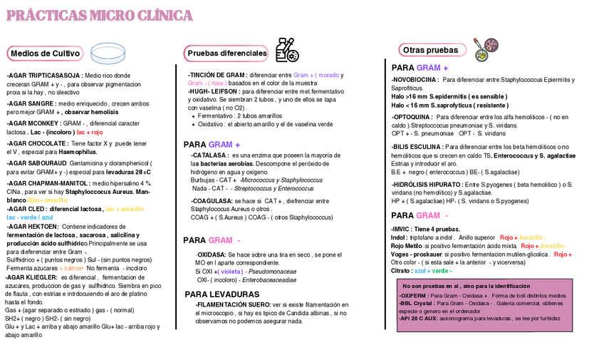 Miniatura del documento Resumen-practicas-micro-clinica.pdf