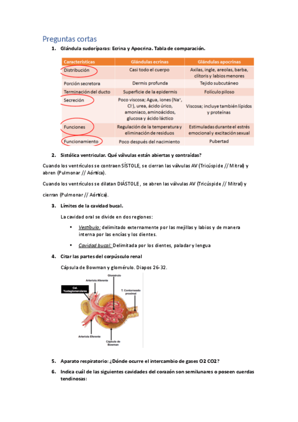 Miniatura del documento Preguntas-parcial-Anatomia-2.pdf