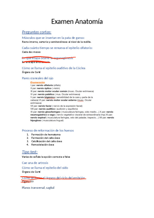 Miniatura del documento Parcial-Anatomia.pdf