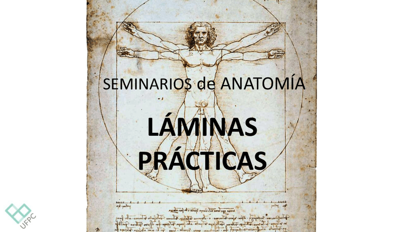 Miniatura del documento Laminas-1o-parcial.pdf