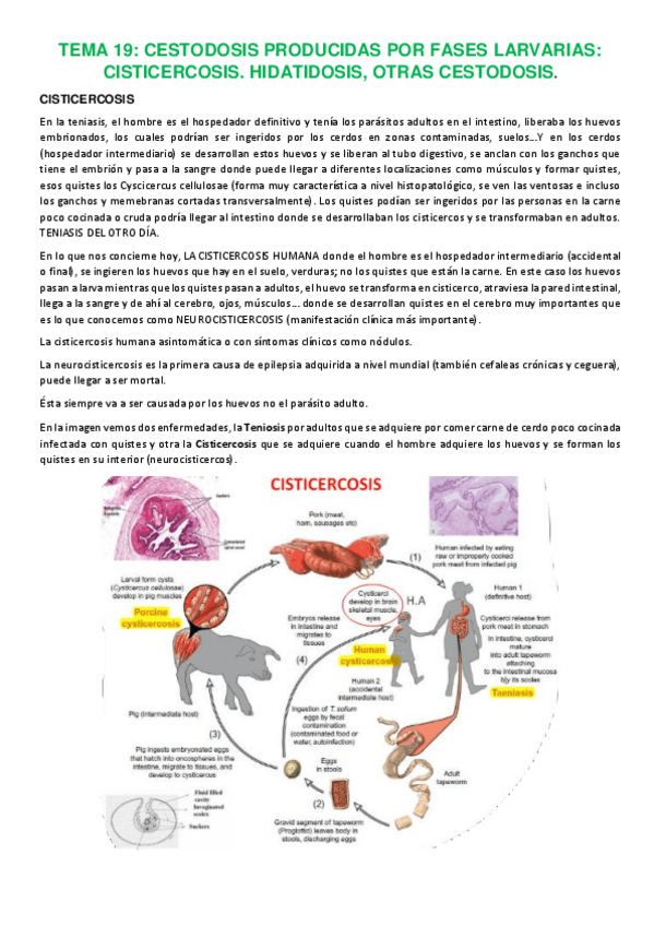 Miniatura del documento TEMA-19-23-PARASITO.pdf
