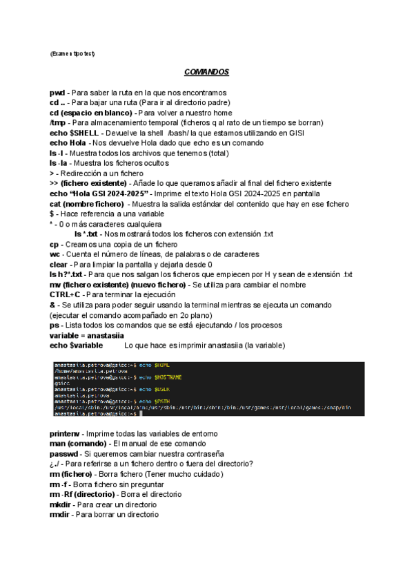 Miniatura del documento Comandos-MobaXterm-PEL1.pdf