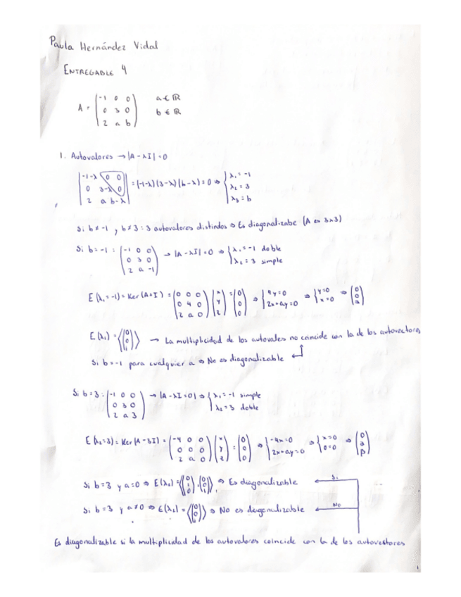 Miniatura del documento Entregable-4.pdf