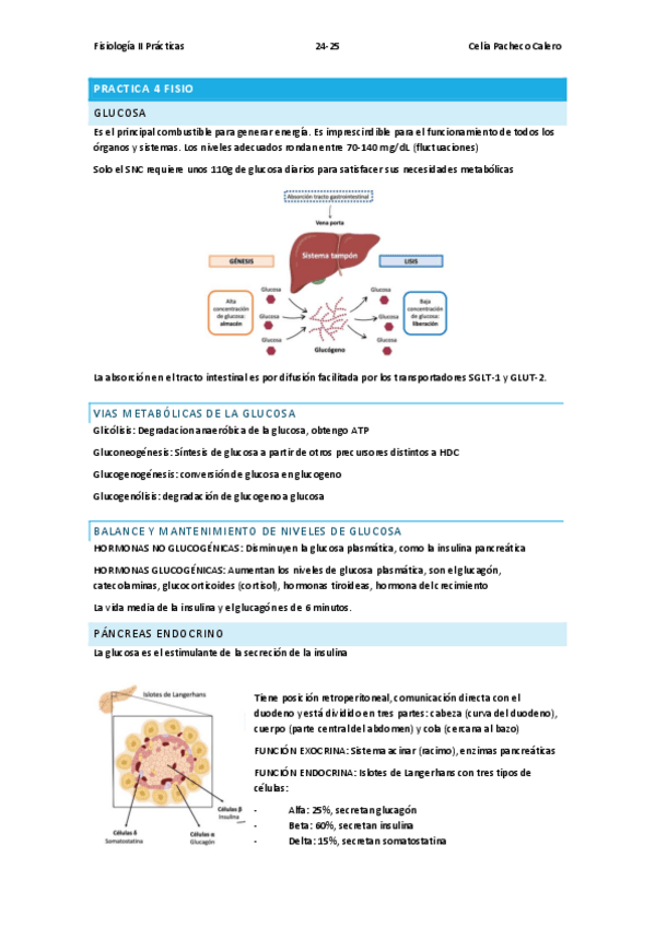 Miniatura del documento 24-25 práctica 4 fisio glucosa.pdf