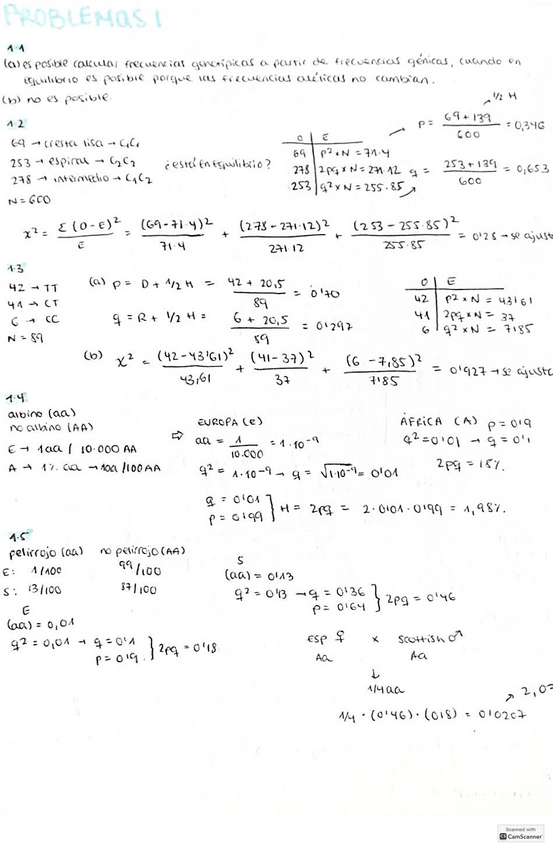 Miniatura del documento poblaciones-todos-los-ejercicios.pdf