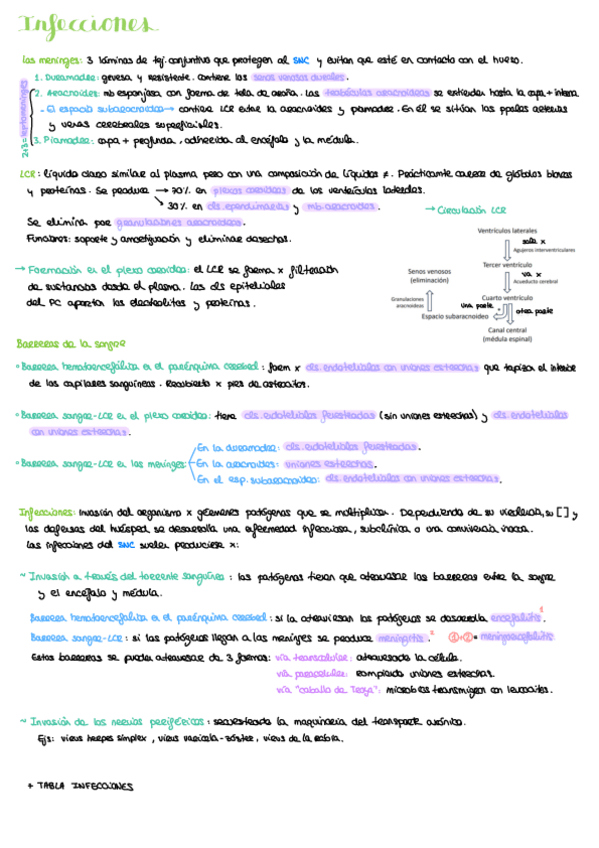 Miniatura del documento 2.3-Infecciones.pdf