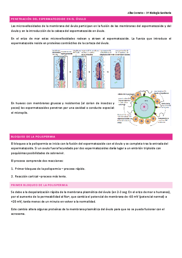 Miniatura del documento TEMA-6-Repro-CONTINUACION.pdf