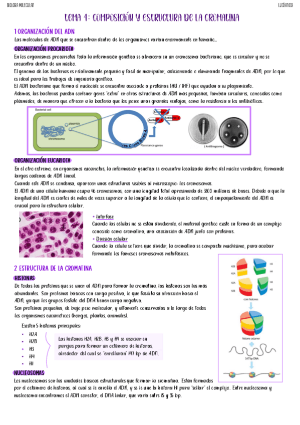 Miniatura del documento tema-4-biologia-molecular.pdf