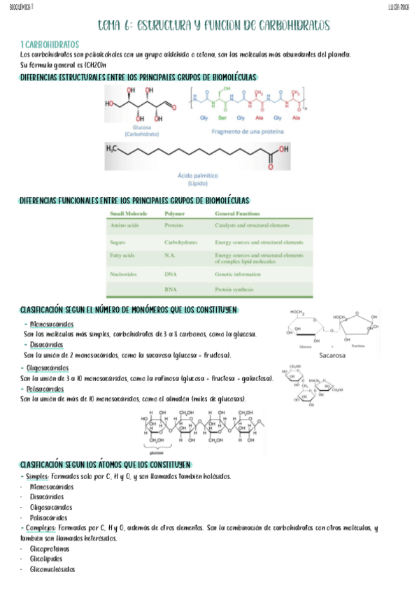 Miniatura del documento tema-6-bioquimica-1.pdf