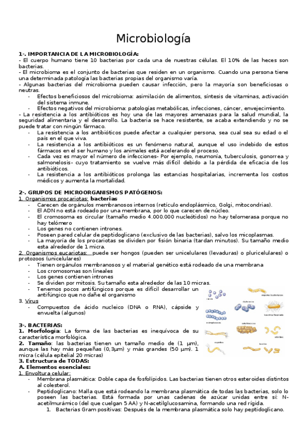 Miniatura del documento Microbiologia.docx