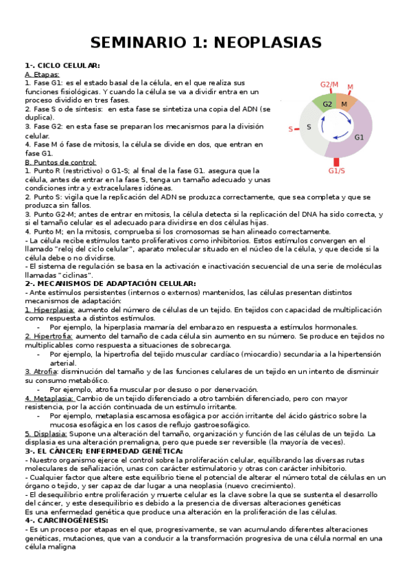 Miniatura del documento Seminario.-Neoplasias..docx