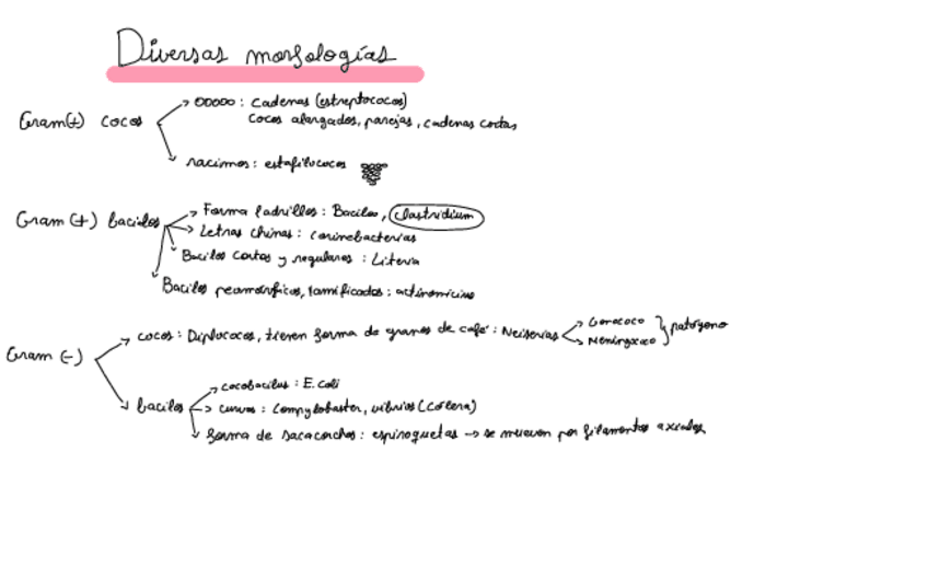 Miniatura del documento Esquema-Clase-5.pdf