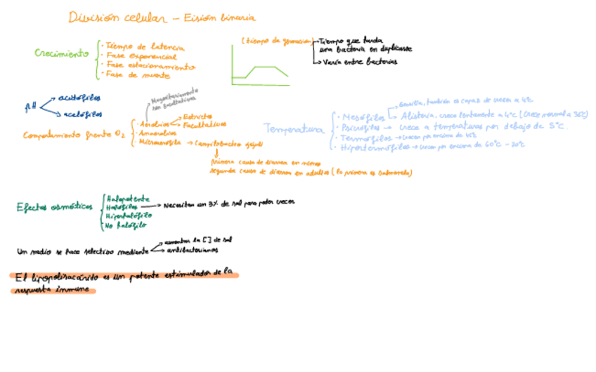 Miniatura del documento Esquema-clase-4.pdf