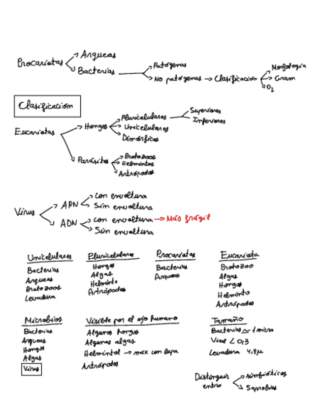 Miniatura del documento Esquema-Clase-2.pdf