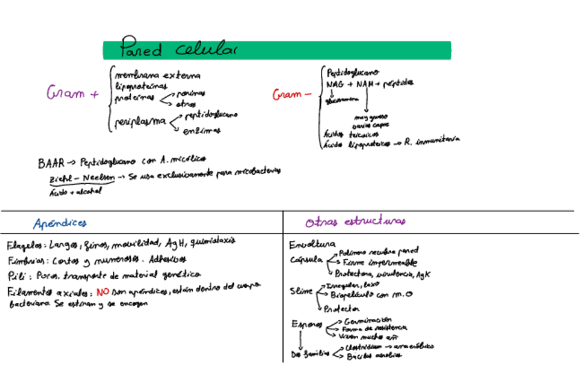 Miniatura del documento Esquema-Tema-3-Y-4.pdf