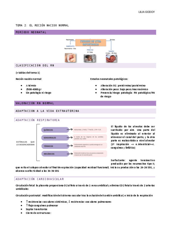 Miniatura del documento TEMA-2.pdf