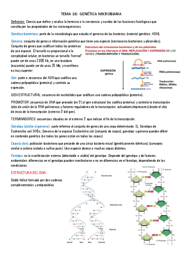 Miniatura del documento Apuntes-Microbiologia.pdf