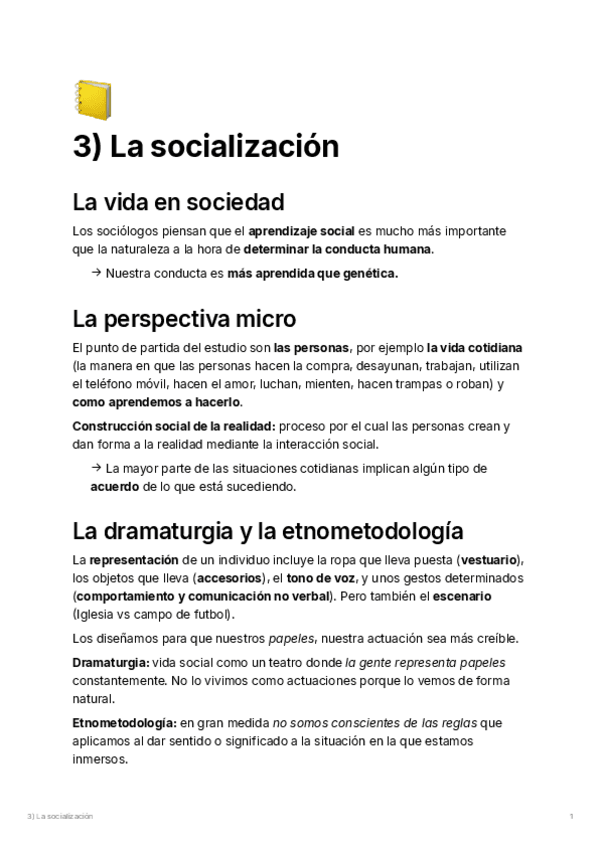 Miniatura del documento Socialización.pdf